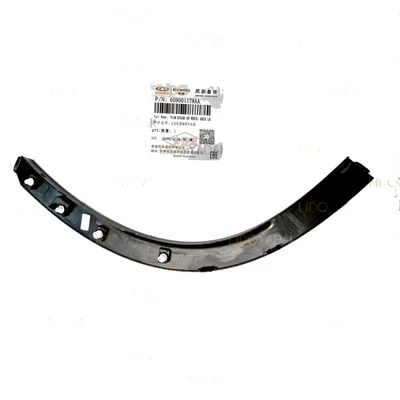 زه دور گلگیر عقب چپ فونیکس FX